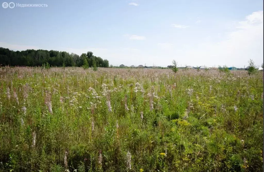 Участок в Заводоуковск, улица Героев, 12 (8.8 м) - Фото 1