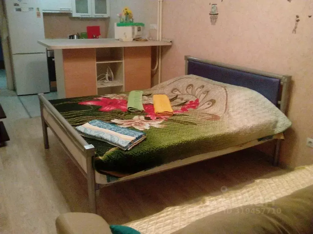 1-к кв. Санкт-Петербург просп. Народного ополчения, 10 (27.0 м) - Фото 1