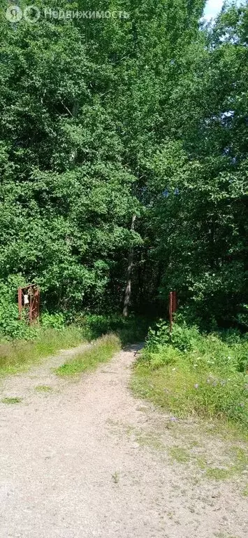 Участок в Выборгский район, Советское городское поселение, посёлок ... - Фото 1