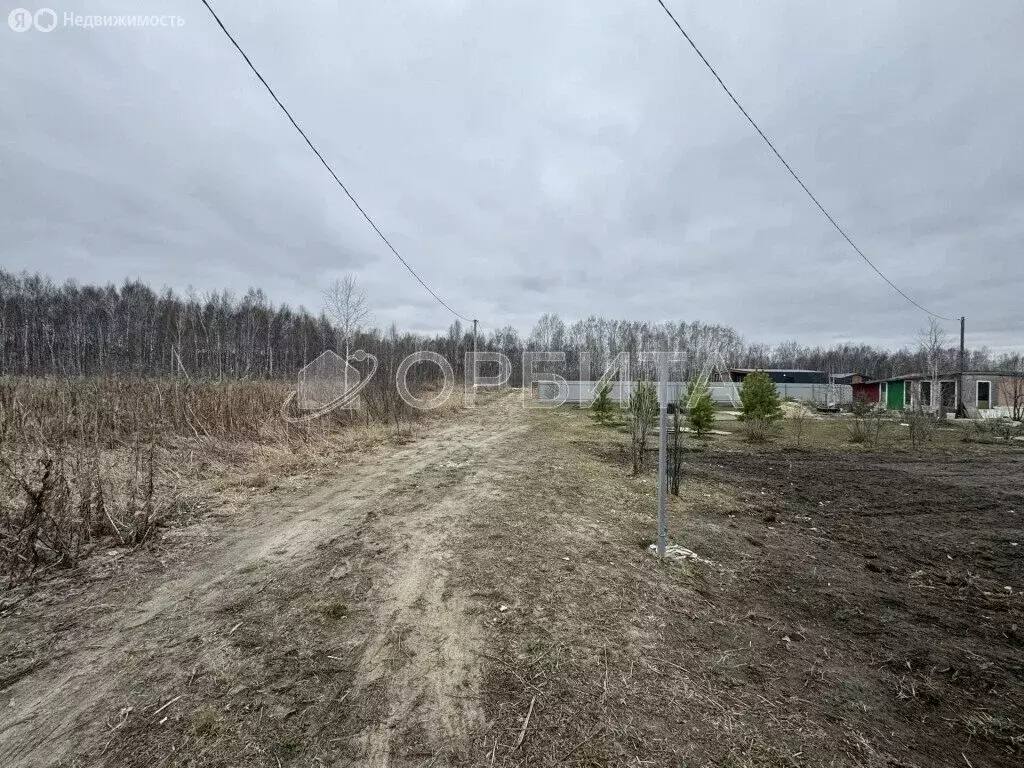 Участок в Тюменская область, Нижнетавдинский муниципальный округ, СНТ ... - Фото 1