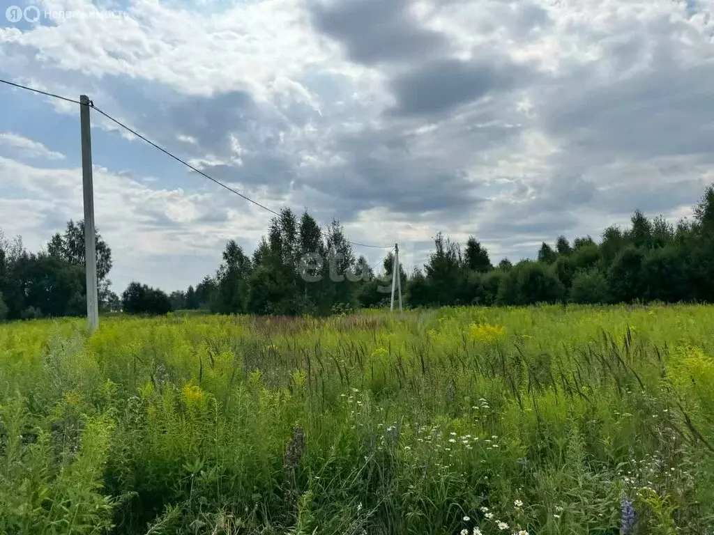 Участок в Нижегородская область, Городецкий муниципальный округ, ... - Фото 0