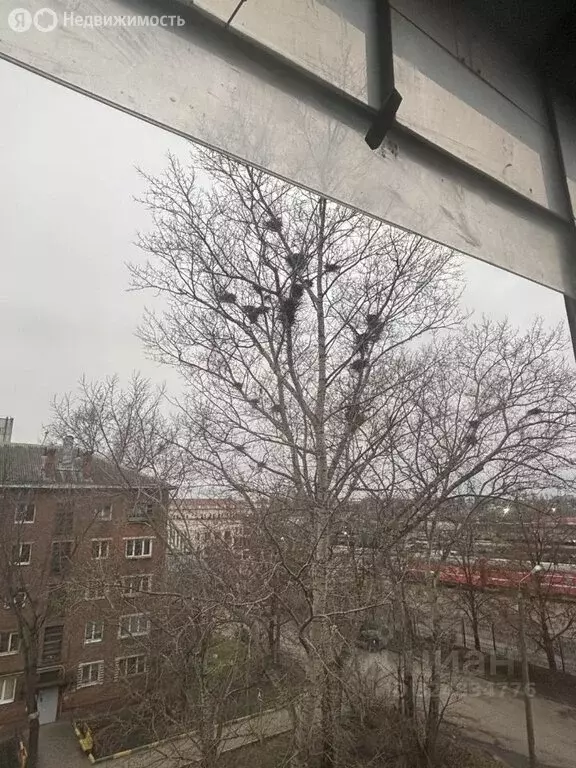 1-комнатная квартира: Тула, Красноармейский проспект, 52 (31 м) - Фото 1