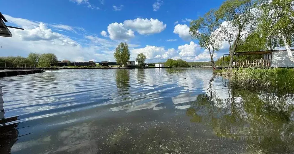 Участок в Московская область, Домодедово городской округ, д. Матчино, ... - Фото 1