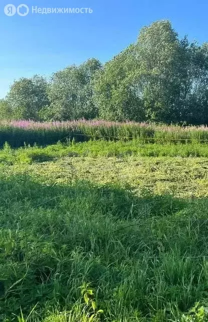 Участок в Вологодский муниципальный округ, посёлок Майский (15 м) - Фото 0