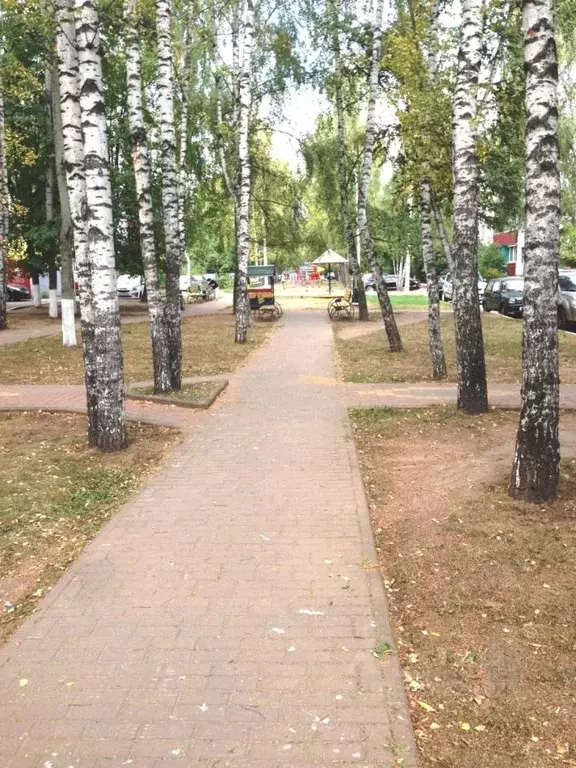 3-к кв. Московская область, Раменское Школьная ул., 6 (56.9 м) - Фото 2