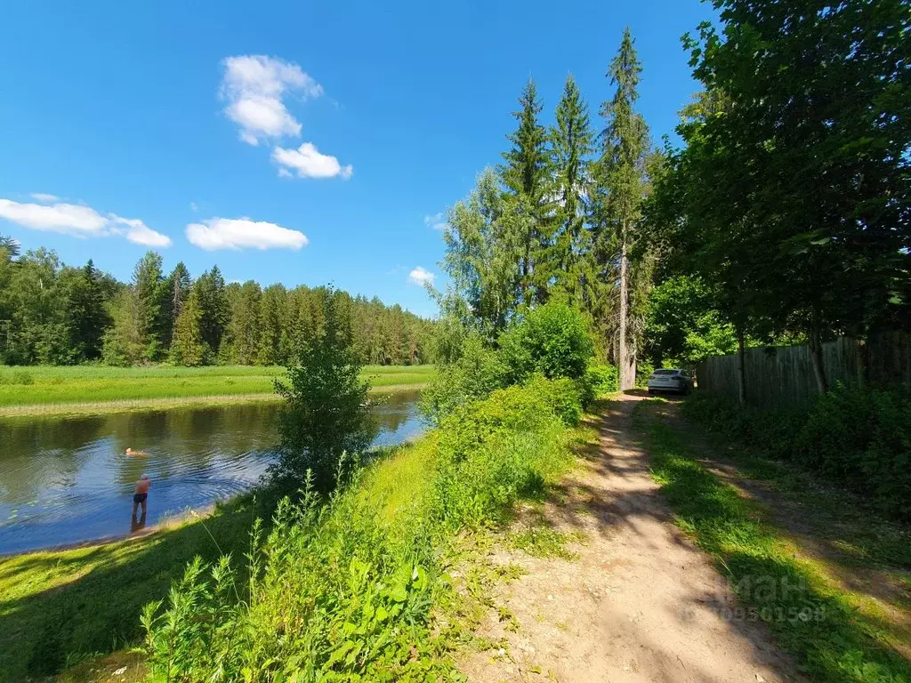 Участок в Ленинградская область, Гатчинский район, Вырица городской ... - Фото 0