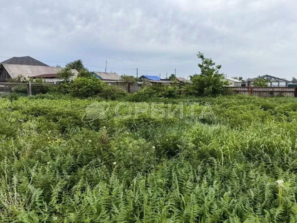 Участок в Тюменская область, Тюменский муниципальный округ, с. Чикча ... - Фото 2