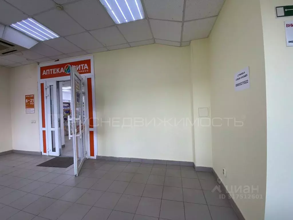 Торговая площадь в Кировская область, Киров ул. Ленина, 137 (5 м) - Фото 1