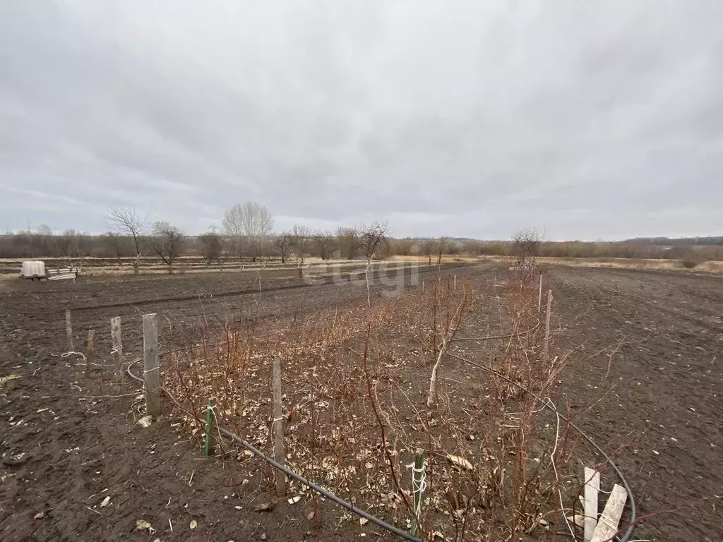 Участок в Белгородская область, Губкинский городской округ, с. ... - Фото 1