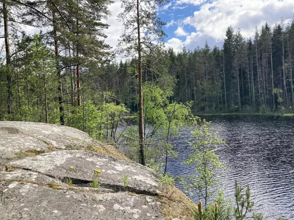 Участок в Карелия, Лахденпохский район, пос. Куркиеки Советская ул. ... - Фото 1