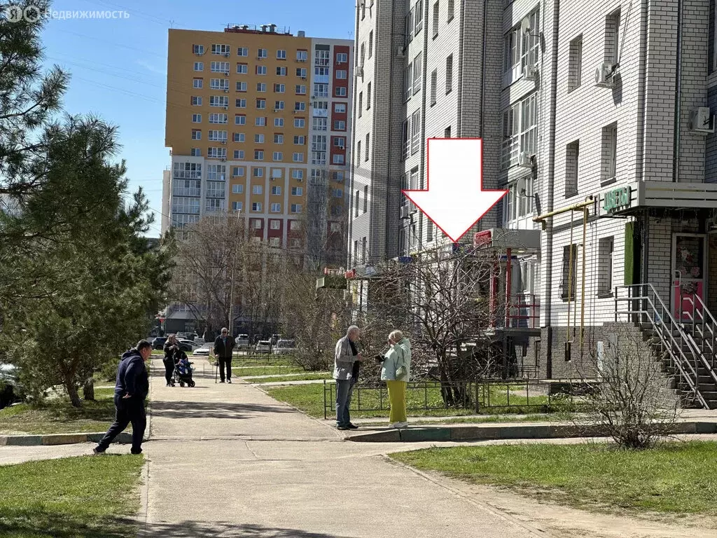 Торговая площадь (49.4 м) - Фото 2