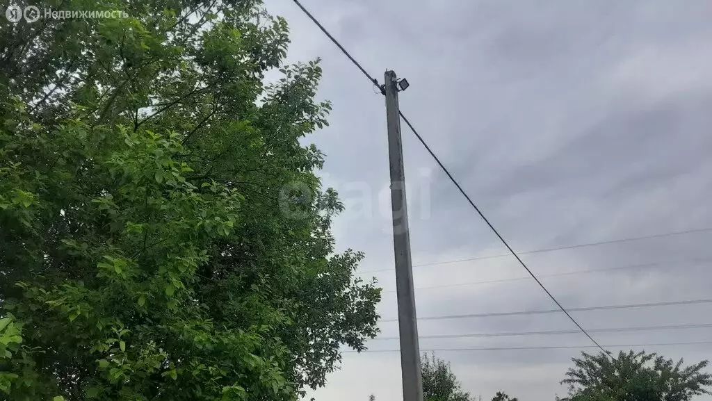 Участок в Гурьевск, СНТ Клубничка (6.05 м) - Фото 1