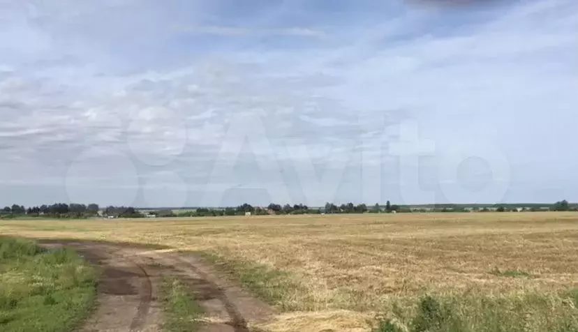 Участок 88га (СНТ, ДНП) - Фото 0