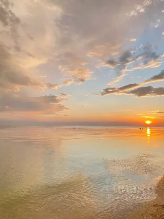 Участок в Крым, Сакский район, Молочненское с/пос, с. Витино ул. ... - Фото 1