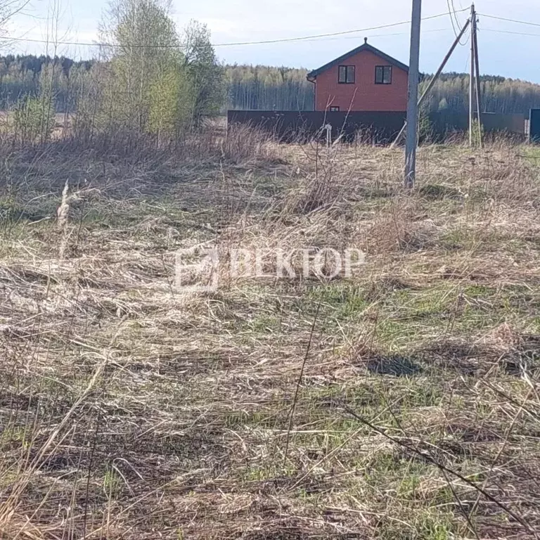 Участок в Ярославская область, Ярославский муниципальный округ, д. ... - Фото 2