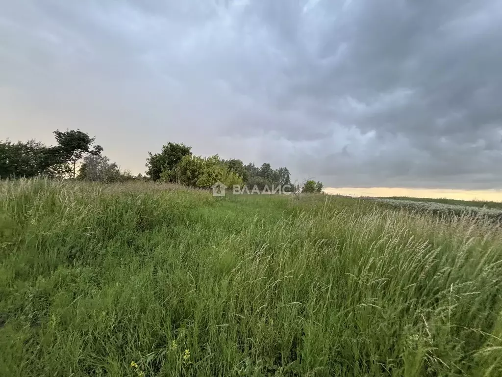 Участок в Московская область, Зарайск Зарайск муниципальный округ, ... - Фото 1