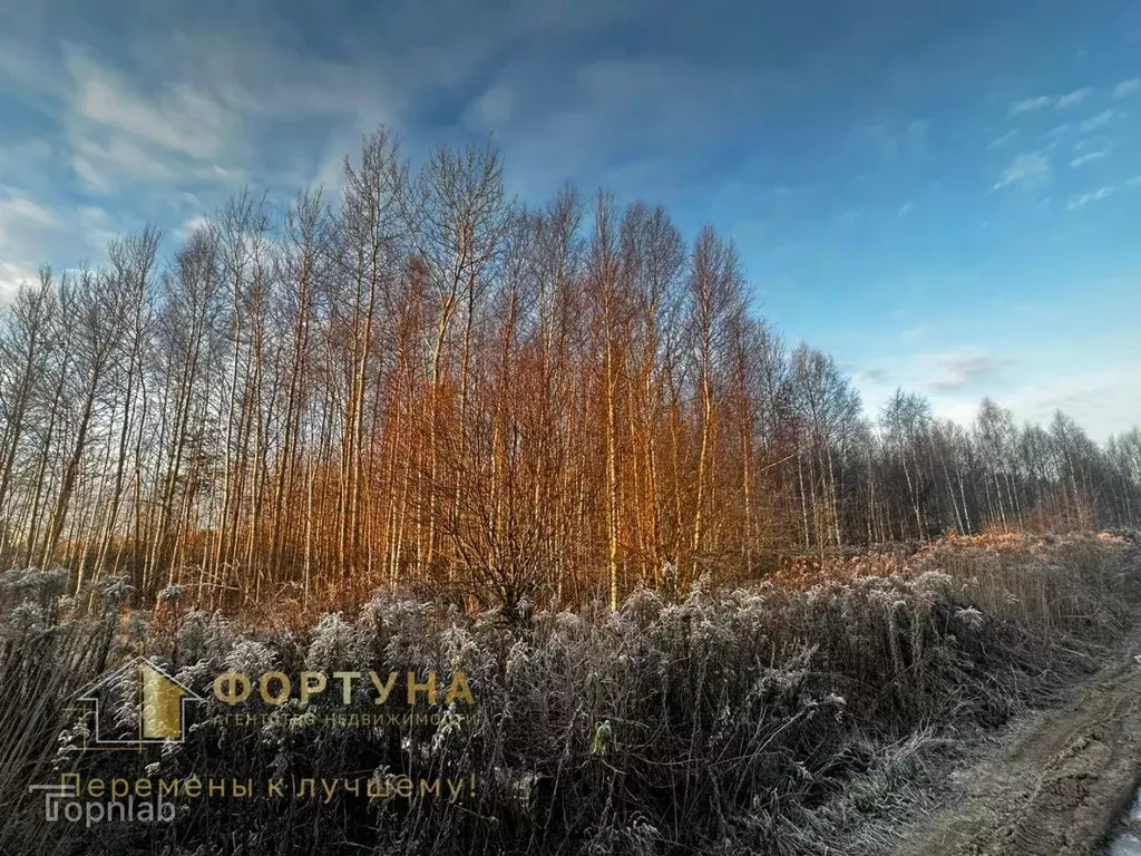 Участок в Нижегородская область, Бор пос. Большое Пикино, ул. Западная ... - Фото 2