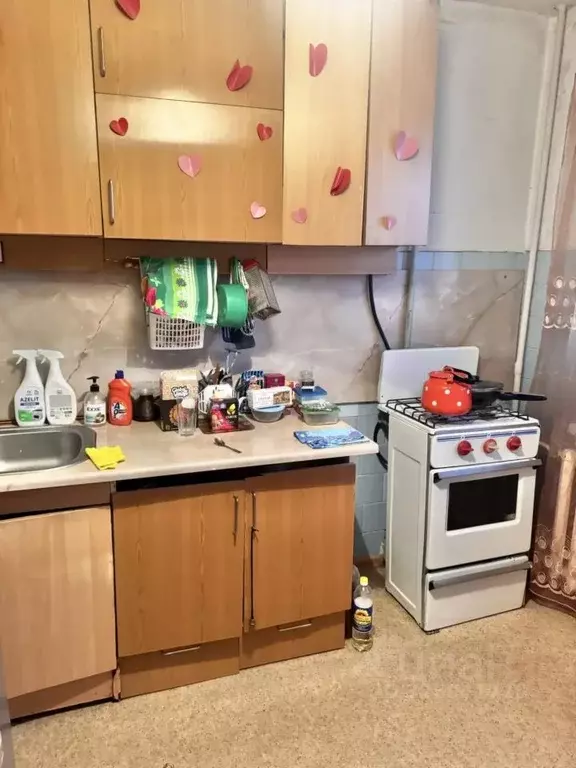 1-к кв. Волгоградская область, Волгоград Керамический мкр, ул. 2-я ... - Фото 2