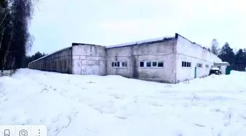 Производственное помещение в Московская область, Богородский городской ... - Фото 1