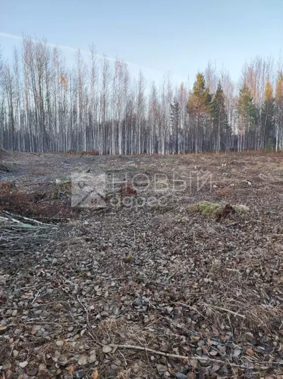 Участок в Ханты-Мансийский АО, Ханты-Мансийск Виктория СОНТ, 2 (21.0 ... - Фото 1