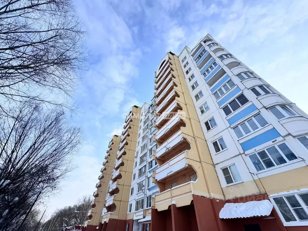 2-к кв. Московская область, Ногинск Богородский городской округ, ул. ... - Фото 2