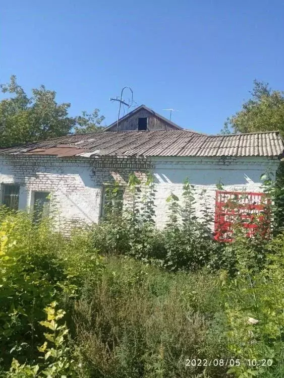 Помещение свободного назначения в Омская область, Нововаршавский ... - Фото 1