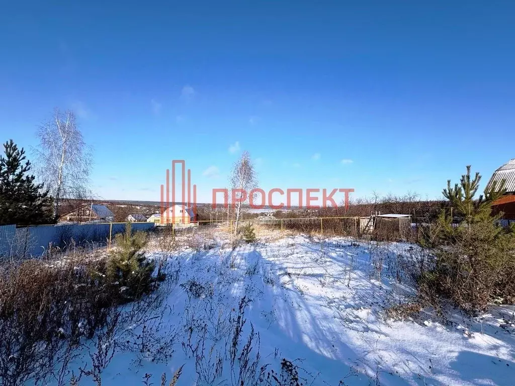 Участок в Пензенская область, Пензенский район, Алферьевский ... - Фото 2