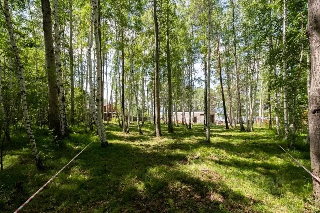 Участок в Иркутская область, Иркутский муниципальный округ, Молодость ... - Фото 0