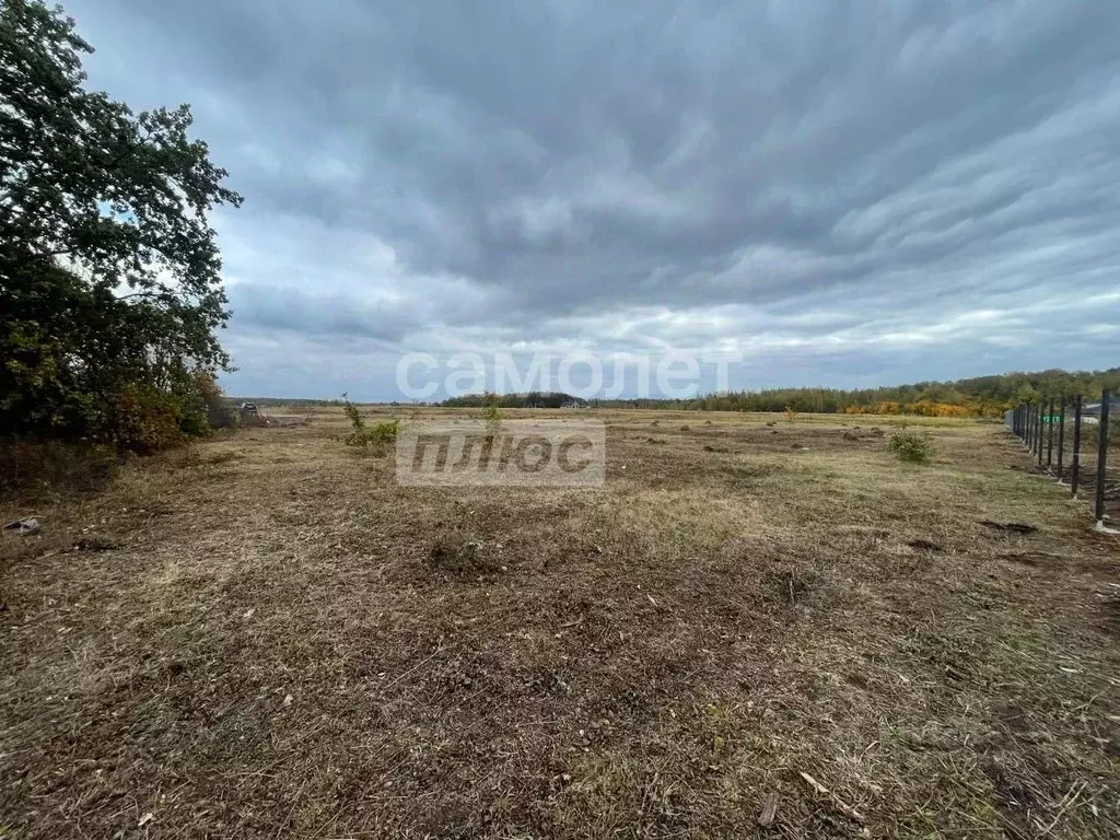 Участок в Рязанская область, Рязанский муниципальный округ, д. Дубняки ... - Фото 1