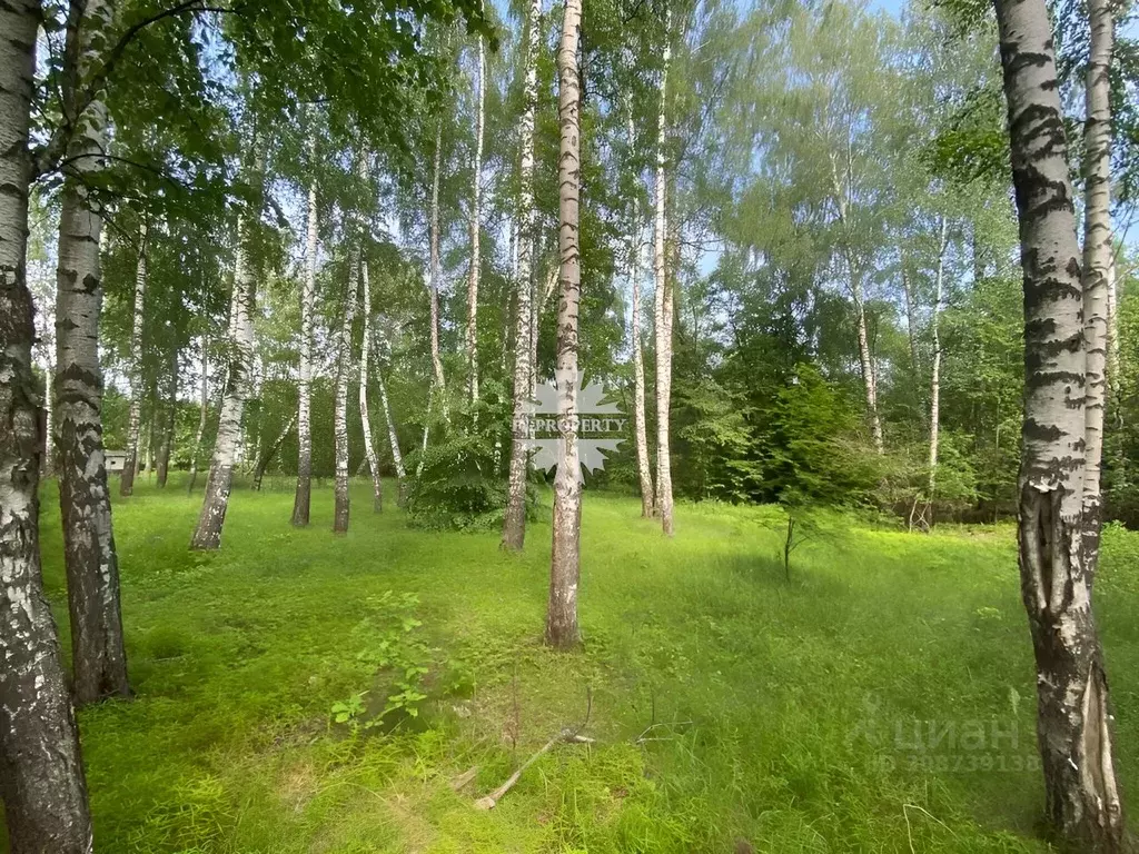 Участок в Московская область, Одинцовский городской округ, д. Бузаево, ... - Фото 1