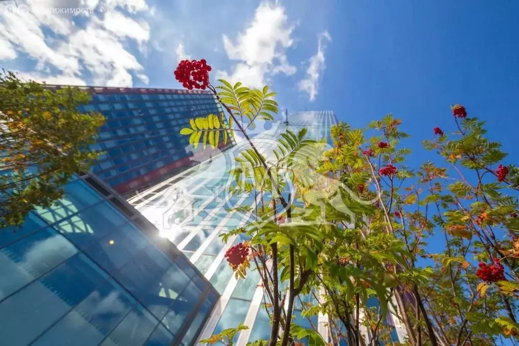 Офис (1794 м) - Фото 1