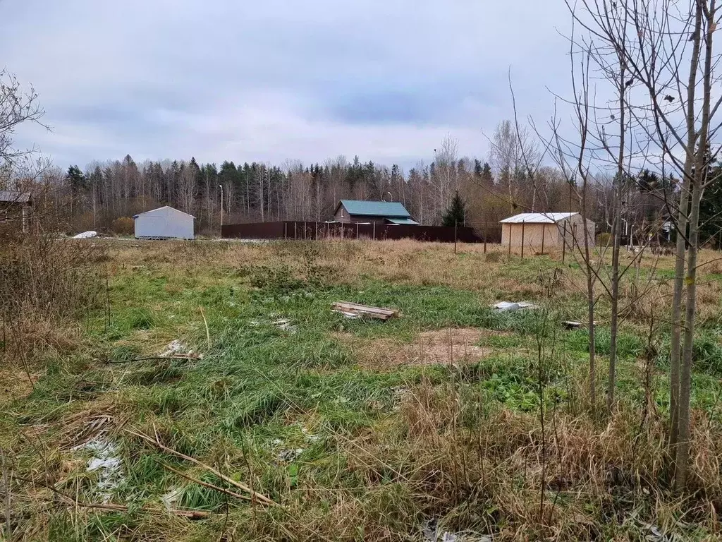 Участок в Ленинградская область, Приозерский район, Мельниковское ... - Фото 0