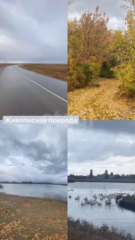Дом в Саратовская область, Энгельсский район, Терновское муниципальное ... - Фото 2