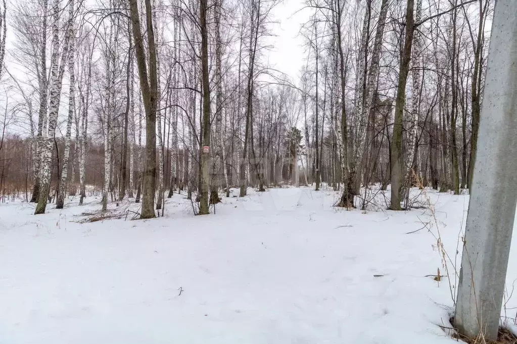 Участок 10 сот. (СНТ, ДНП) - Фото 0