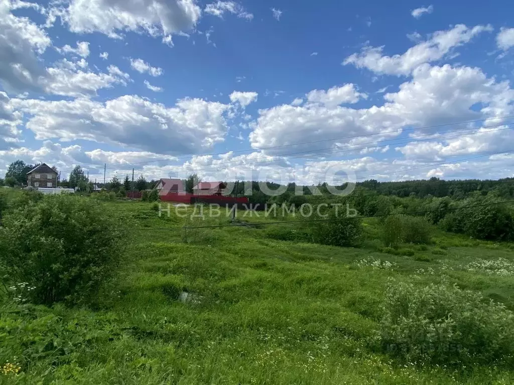 Участок в Пермский край, Усольский район, с. Пыскор ул. Жарова, 5 ... - Фото 2
