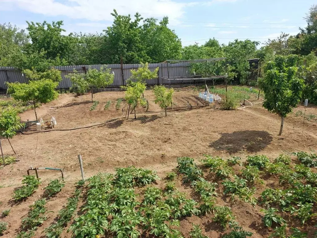 Участок в Севастополь Металлист садовое товарищество, 255 (6.0 сот.) - Фото 1