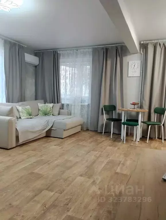 Студия Тульская область, Ефремов ул. Шлихтера, 1 (31.0 м) - Фото 1