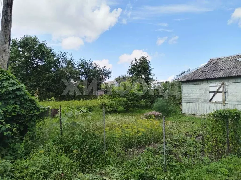 Участок в Брянская область, Брянск  (11.0 сот.) - Фото 0