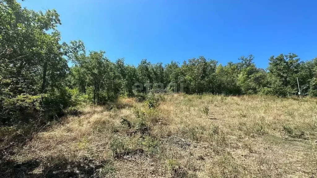 Участок в Крым, Алушта городской округ, с. Малый Маяк  (8.0 сот.) - Фото 0