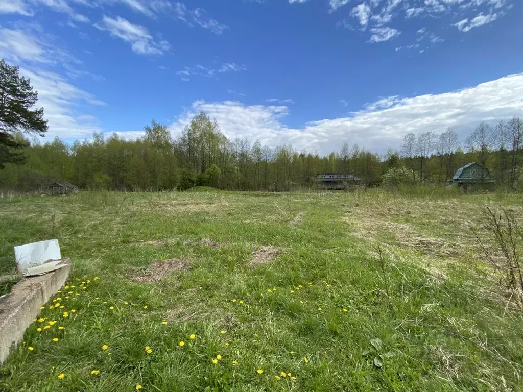 Участок в Тверская область, Конаковский муниципальный округ, Юность ... - Фото 1