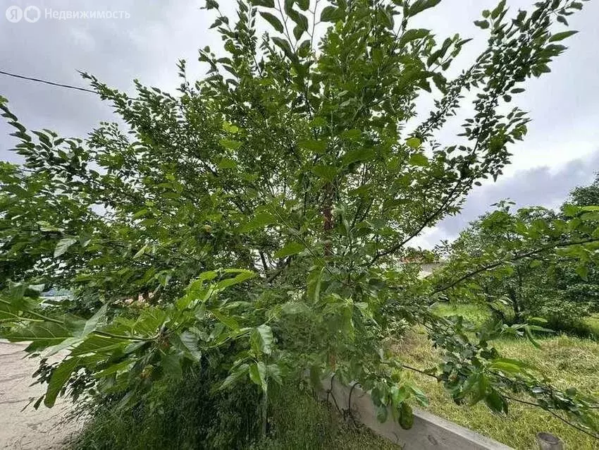 Участок в село Молдовка, Тимашевская улица (6 м) - Фото 0