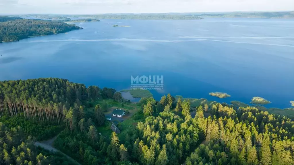 Участок в Карелия, Питкярантский муниципальный округ, д. Хийденсельга  ... - Фото 1