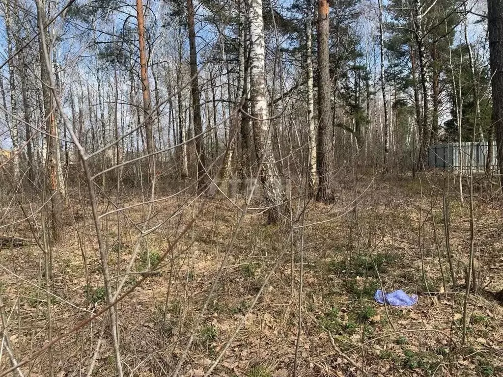 Участок в Брянская область, Брянский район, Нетьинское с/пос, Лесная ... - Фото 1