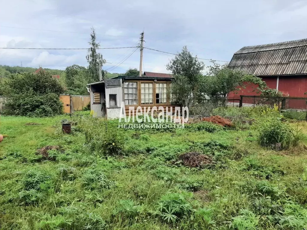 Участок в Ленинградская область, Выборг Радуга СНТ,  (7.0 сот.) - Фото 0