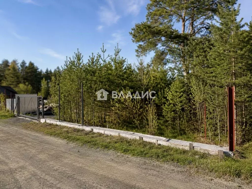 Участок в Карелия, Прионежский муниципальный район, Шуйское с/пос, ... - Фото 2