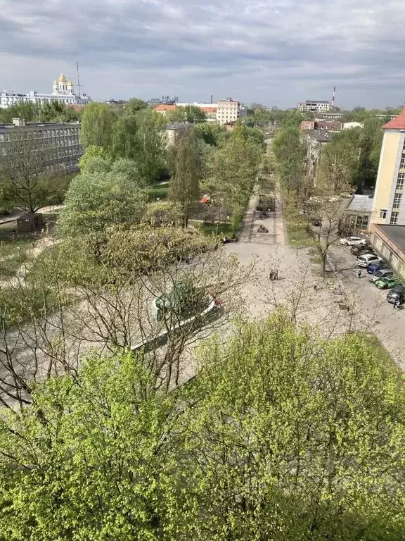 2-к кв. Калининградская область, Калининград ул. Генерала Соммера, 28 ... - Фото 0