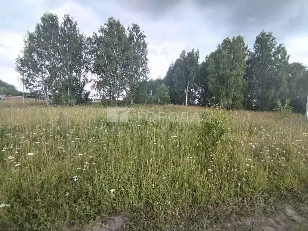 Участок в Новосибирская область, Новосибирский район, с. Плотниково ... - Фото 2