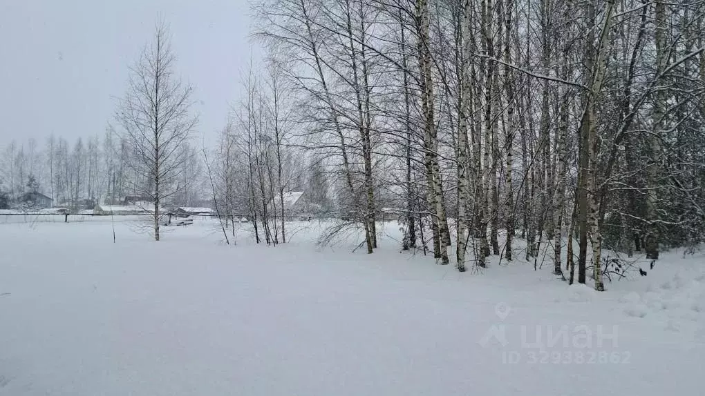 Участок в Московская область, Орехово-Зуевский городской округ, д. ... - Фото 2