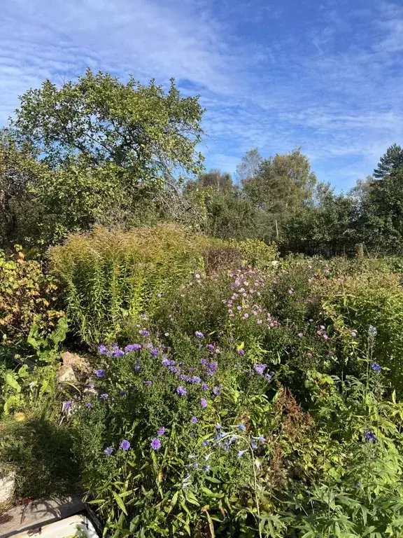 Дом в Новгородская область, Старорусский район, Великосельское с/пос, ... - Фото 2