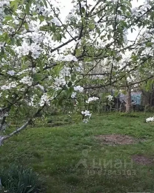 Участок в Нижегородская область, Нижний Новгород № 1 Малышево СНТ,  ... - Фото 1